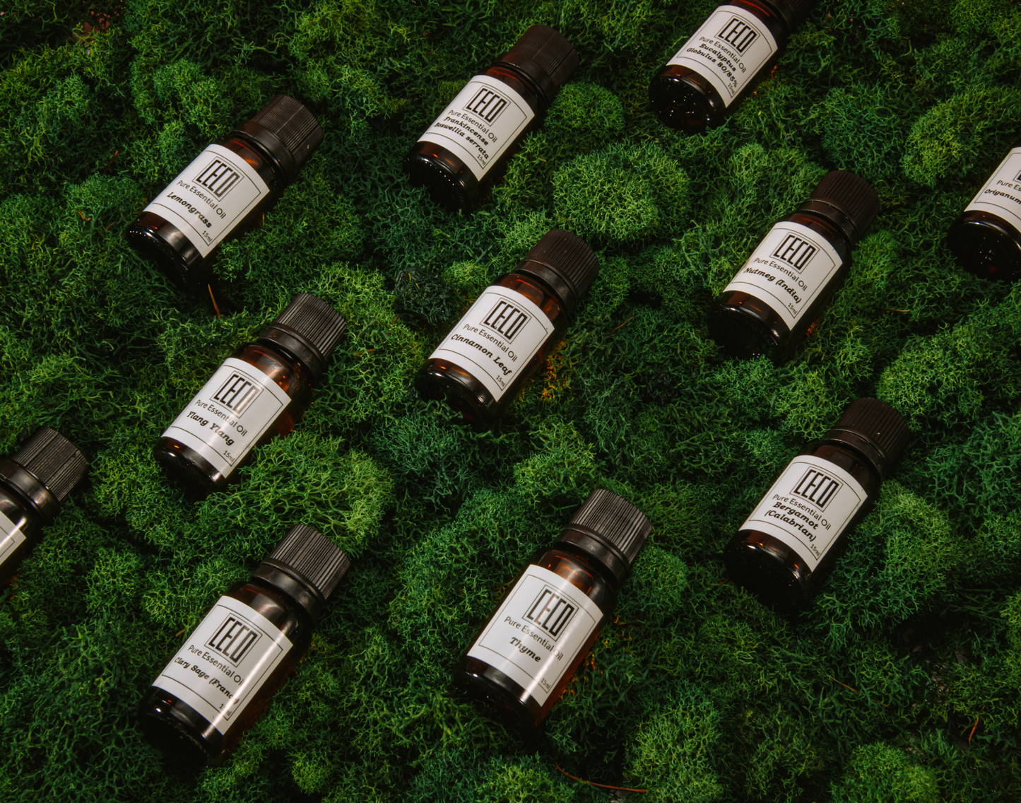 Huile essentielle pure BASILIC